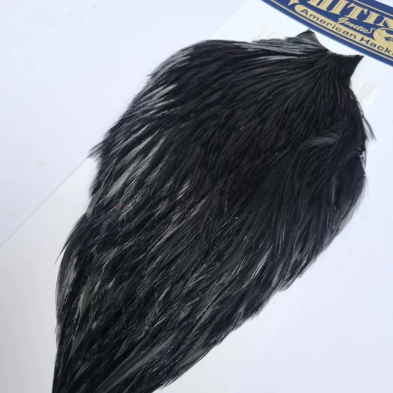 Whiting American Rooster Cape in  Black-8